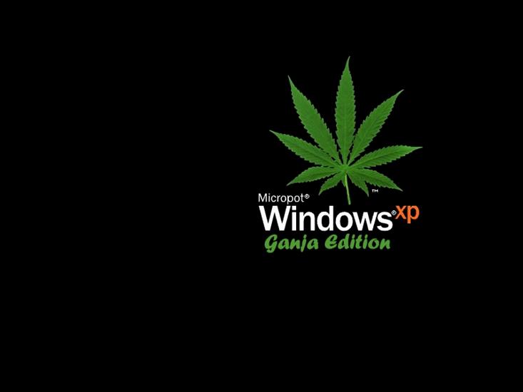 TAPETY WINDOWS - windows 5.jpg