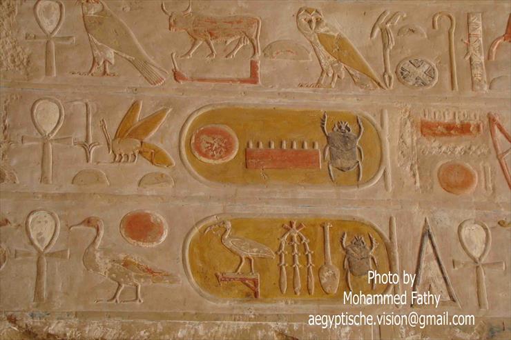 Świątynia w Hatshepsut - Świątynia w Hatshepsut 36.jpg