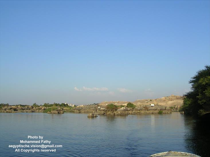 Przyroda - Przyroda w Aswan 503.jpg
