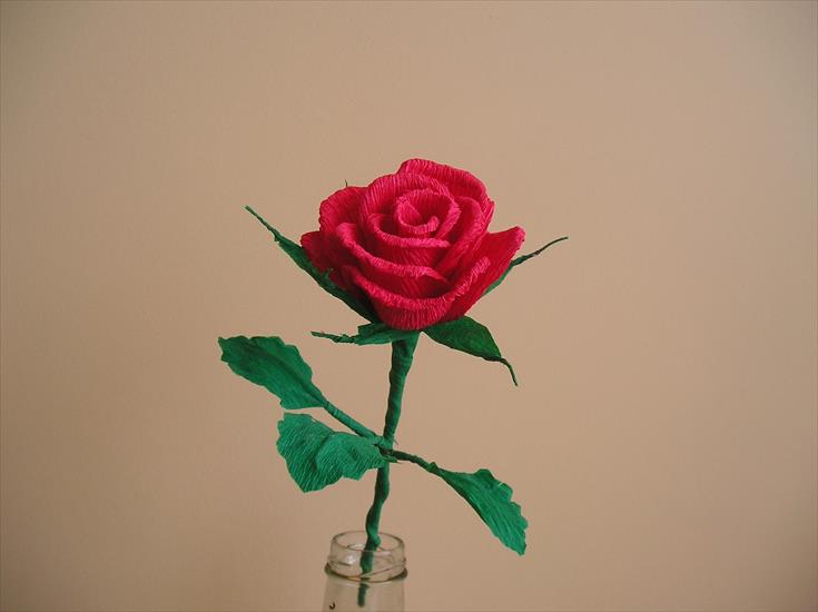 kwiaty z papieru i bibuły - róża1.JPG