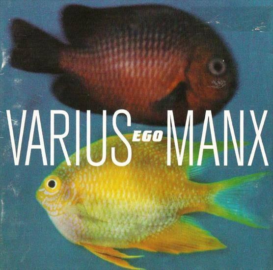 1996 Ego - Varius Manx - Front.JPG