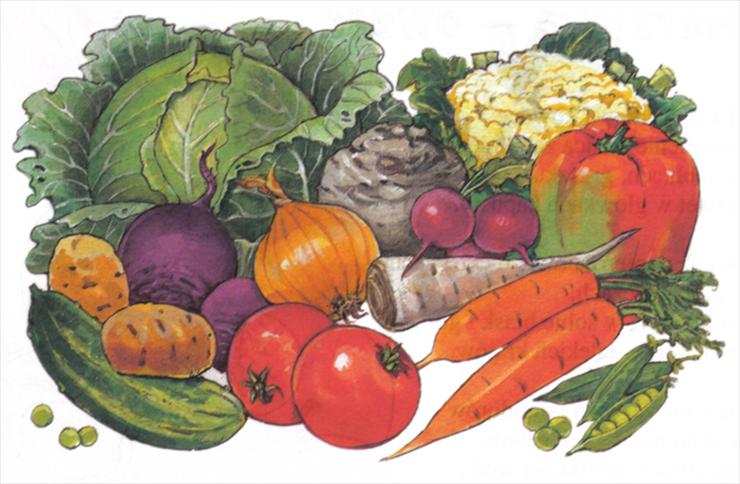 Zdrowe odżywianie - warzywa.JPG