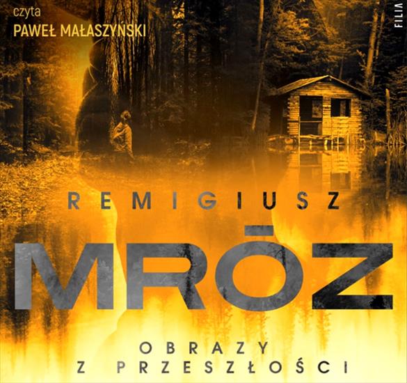 Mróz Remigiusz - Seweryn Zaorski 4 - Obrazy z przeszłości A grasownicy - cover.jpg
